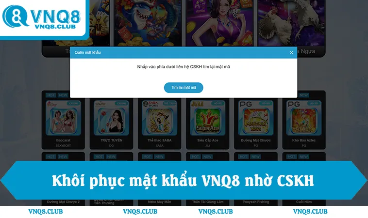 Khôi phục mật khẩu VNQ8, biểu mẫu quên mật khẩu, hỗ trợ CSKH