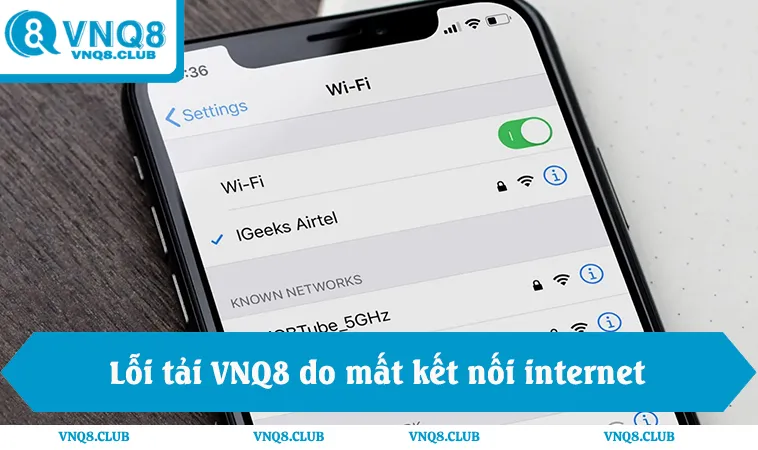 Lỗi tải VNQ8 do mất kết nối hoặc không đăng nhập được ứng dụng